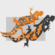 Канал Два-ТриТона