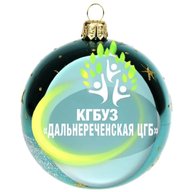 КГБУЗ "Дальнереченская ЦГБ"