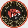 Добровольческий отряд «ТИГР»