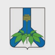 Администрация Дальнереченского муниципального округа