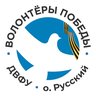 Общественный центр «Волонтёры Победы ДВФУ»