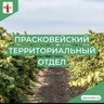 Прасковейский ТО АБМО СК