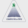 СКИРО ПК и ПРО