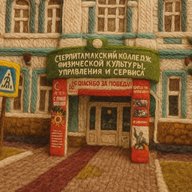 ГАПОУ Стерлитамакский колледж физической культуры, управления и сервиса