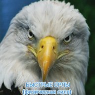 БЫСТРЫЕ ОРЛЫ (физическая сила) Уфа Рабочие