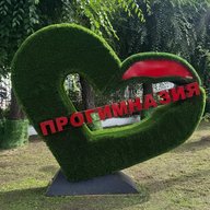 МАОУ "Прогимназия г. Благовещенска"