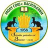 МОАУ СОШ с. Васильевки