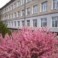 МОБУ СОШ №1 с. Ивановка