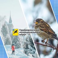 Администрация Грайворонского округа