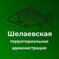 Шелаевская территориальная администрация