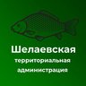 Шелаевская территориальная администрация