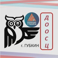 Детский спортивный центр (ДООСЦ)