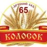 МБДОУ ДС №65 "Колосок"