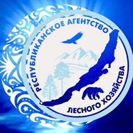 Лесное хозяйство Бурятии