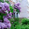МБОУ "Кадуйская СШ №1"