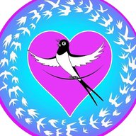 МАДОУ "Детский сад № 22 "Ласточка"