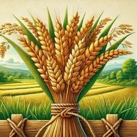 Канал МАДОУ "Детский сад № 111" г. Череповец