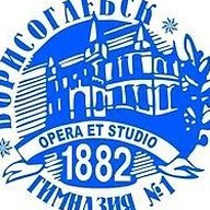 МБОУ БГО " Борисоглебская гимназия N1"