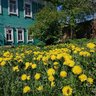Хранитель времени