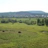 Кузнецовка