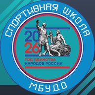 МБУДО СШ «Ледовый дворец»