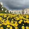 Администрация Центрального района города Новокузнецка