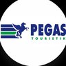 Турагентство Пегас Туристик