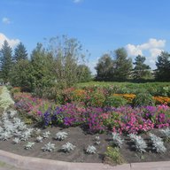 МБОУ Борисовская сош Кузбасс