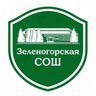 МБОУ «Зеленогорская средняя общеобразовательная школа»