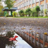 ГОСУДАРСТВЕННАЯ ШКОЛА г. ОМУТНИНСКА