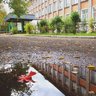 ГОСУДАРСТВЕННАЯ ШКОЛА г. ОМУТНИНСКА