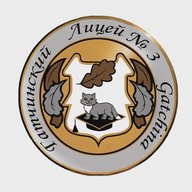 Гатчинский лицей № 3
