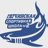 Гатчинская спортивная школа № 2