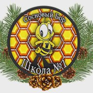 МБОУ "СОШ №1" г. Сосновый Бор