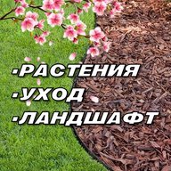 РАСТЕНИЯ/УХОД/ЛАНДШАФТ