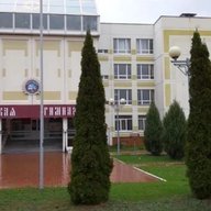 Земская гимназия Балашиха