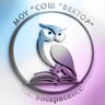 ВЕКТОР #Воскресенск