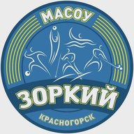 МАСОУ "Зоркий"