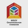 Опалиховская гимназия/Красногорск