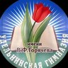 Удельнинская гимназия,Раменский муниципальный округ