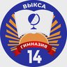 МБОУ Гимназия №14 им. С.С.Клиповой г.о.г. Выкса