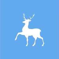 Официальный канал МАОУ "Школа № 55" г.Нижний Новгород