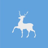 ГКОУ "Школа №56"