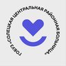 Солецкая центральная районная больница