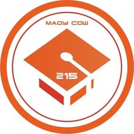 МАОУ СОШ № 215