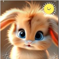 Канал МБДОУ д/ с 432 «Солнечный зайчик"