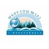 МБОУ СОШ №102 г. Новосибирска