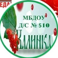 МБДОУ д/с 510 "Калинка"