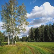 Абрамовский сельсовет