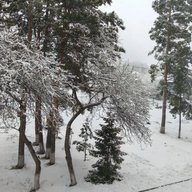 "Березиковская средняя школа"